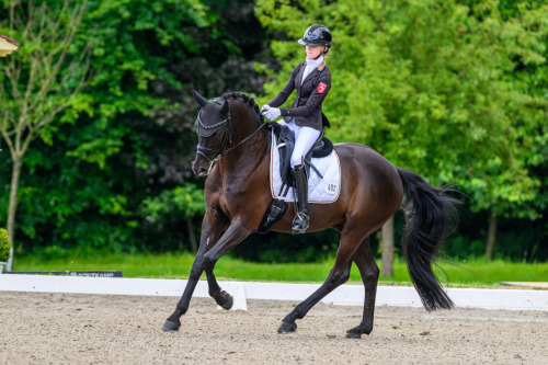 Fürst Schwarzenberg